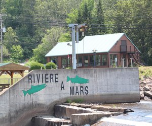 Services - Rivière-à-Mars