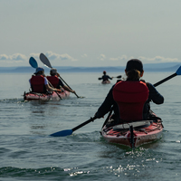Journée découverte kayak de mer | Malle Baye et Cap-à- l'Aigle